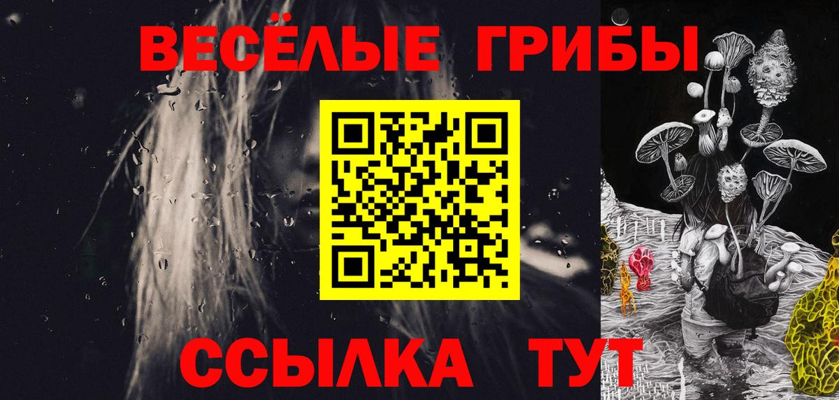 Галлюциногенные грибы Magic Shrooms  Вход с VPN  Новошахтинск  Галлюциногенные грибы Cubensis 